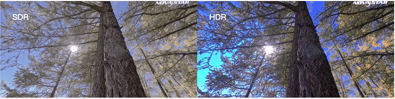1.-High-Dynamic 1.-High-Dynamic