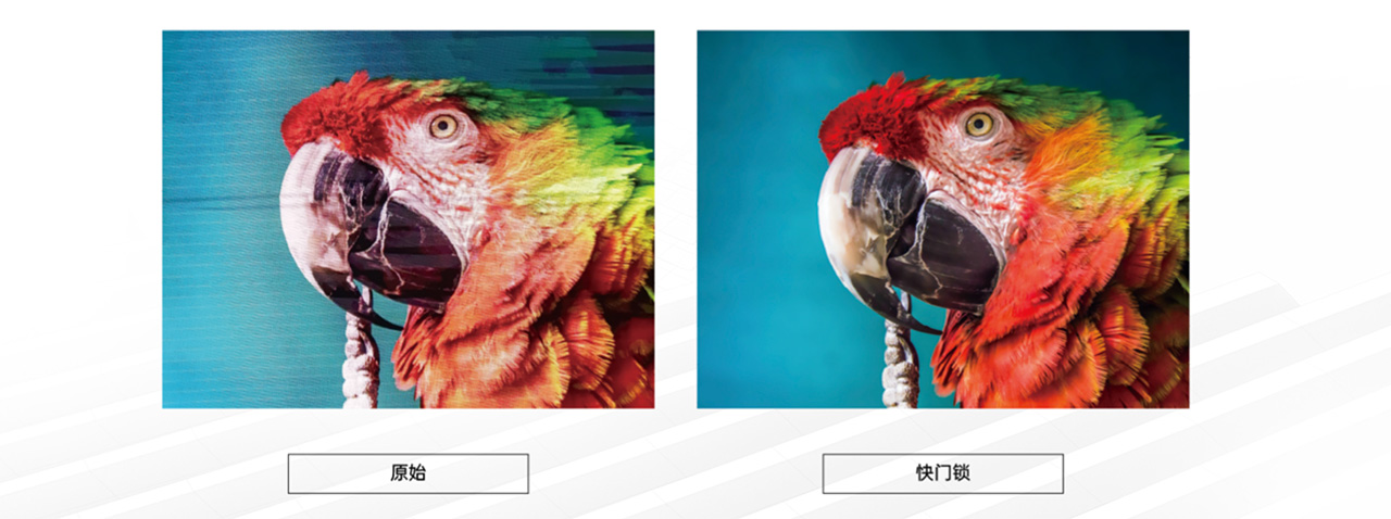 13.-Shutterlock-1 13.-Shutterlock-1