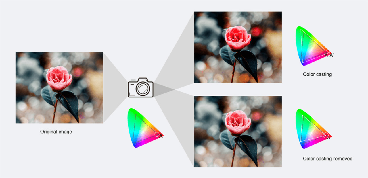 4.-This-adherence-to-the-original-intended-color-allows-the-natural-beauty-of-the-original-source-video-to-shine 4.-This-adherence-to-the-original-intended-color-allows-the-natural-beauty-of-the-original-source-video-to-shine
