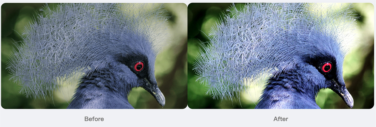 Higher-contrast-ratio Higher-contrast-ratio