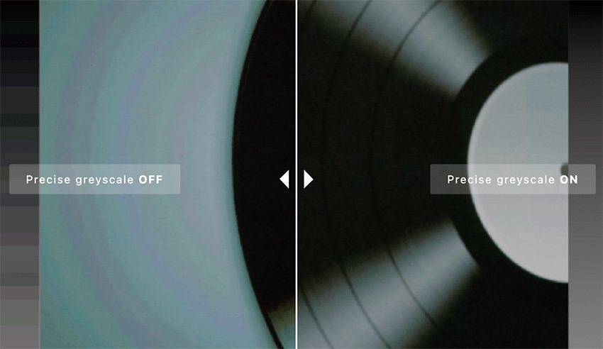 Precise-Grayscale Precise-Grayscale